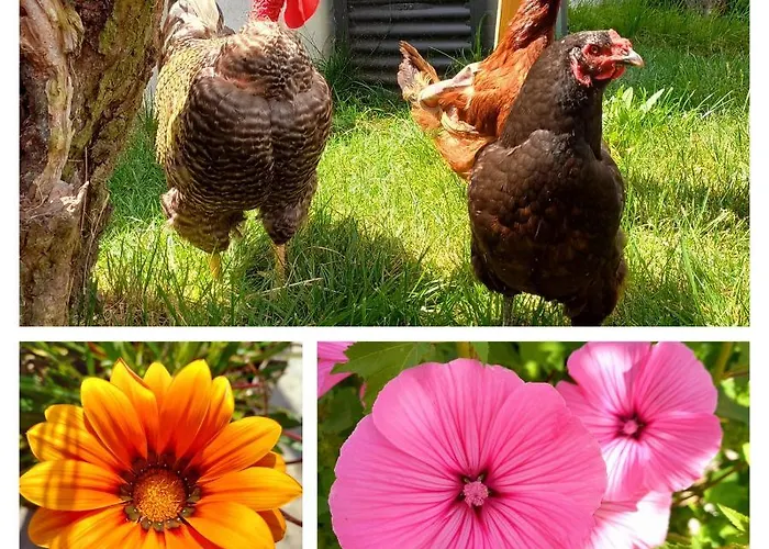 Apartment The Sweet Lemon 3 *