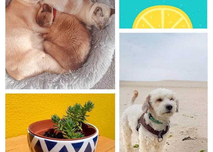 The Sweet Lemon 3 * Bombarral